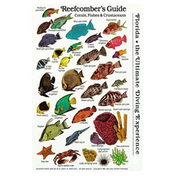 Card, Reefcomber Field Guide